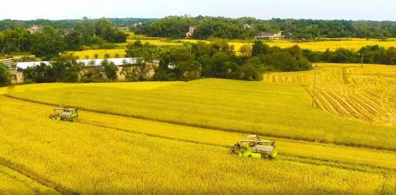 金狮贵宾会·宾至如归-尊贵显赫