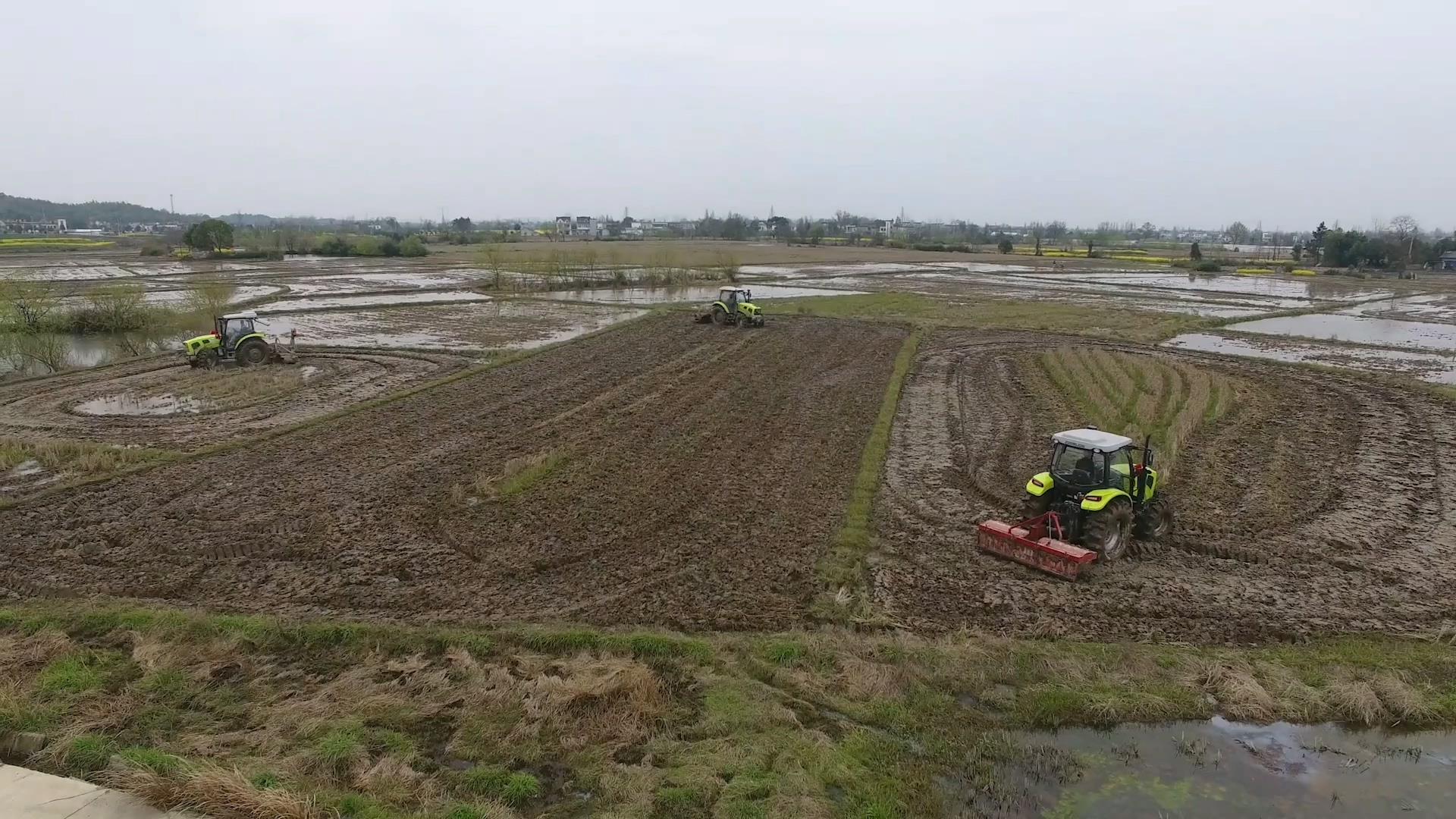 金狮贵宾会·宾至如归-尊贵显赫