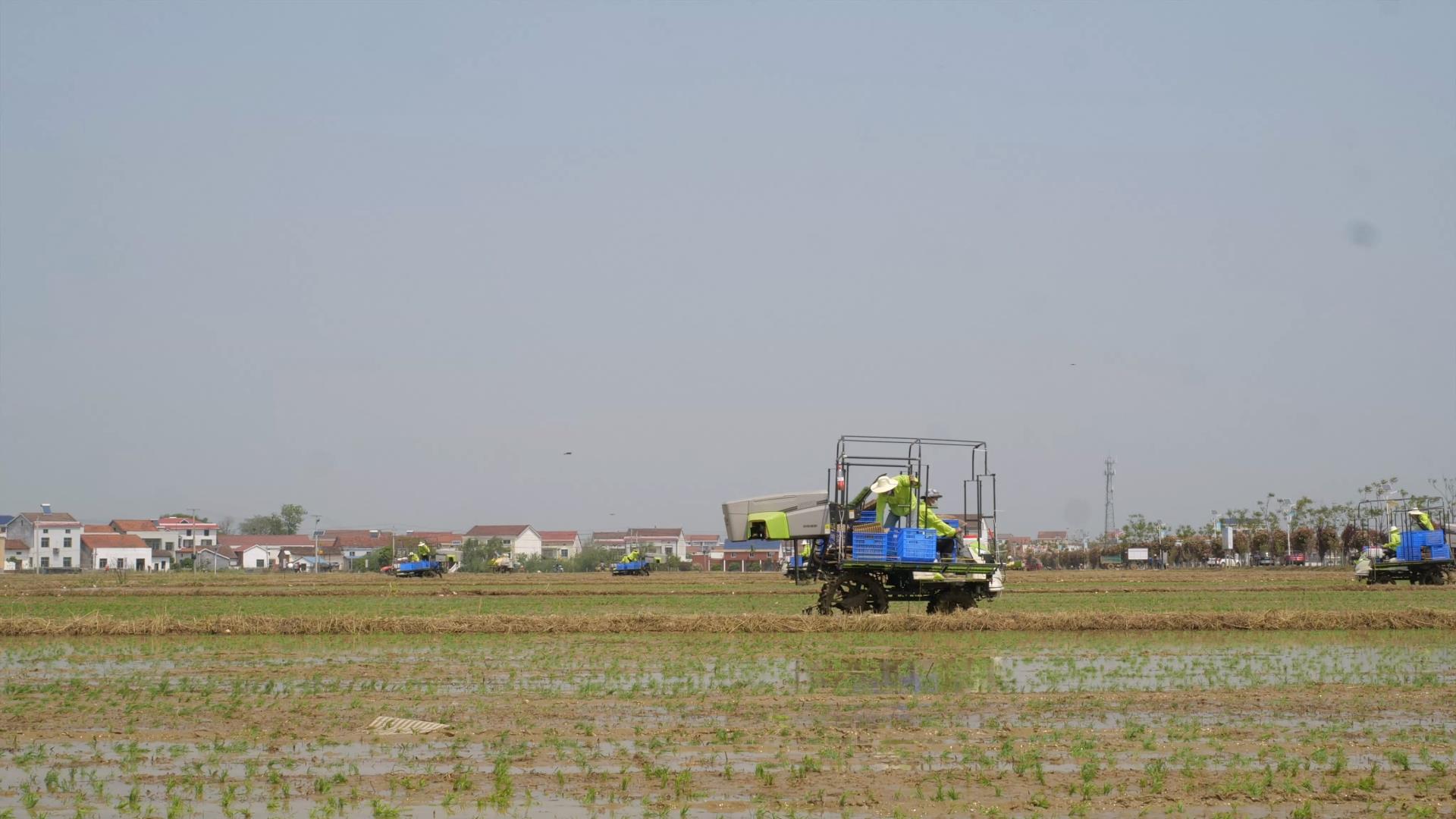 金狮贵宾会·宾至如归-尊贵显赫