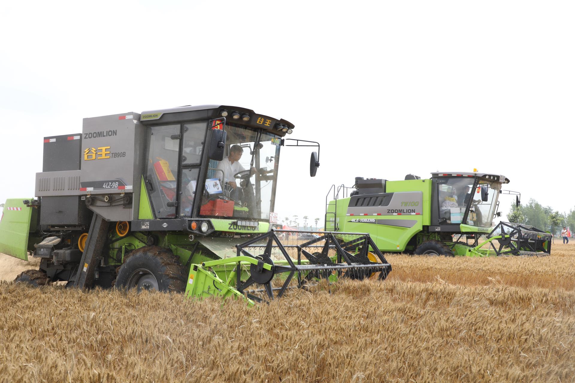 金狮贵宾会·宾至如归-尊贵显赫