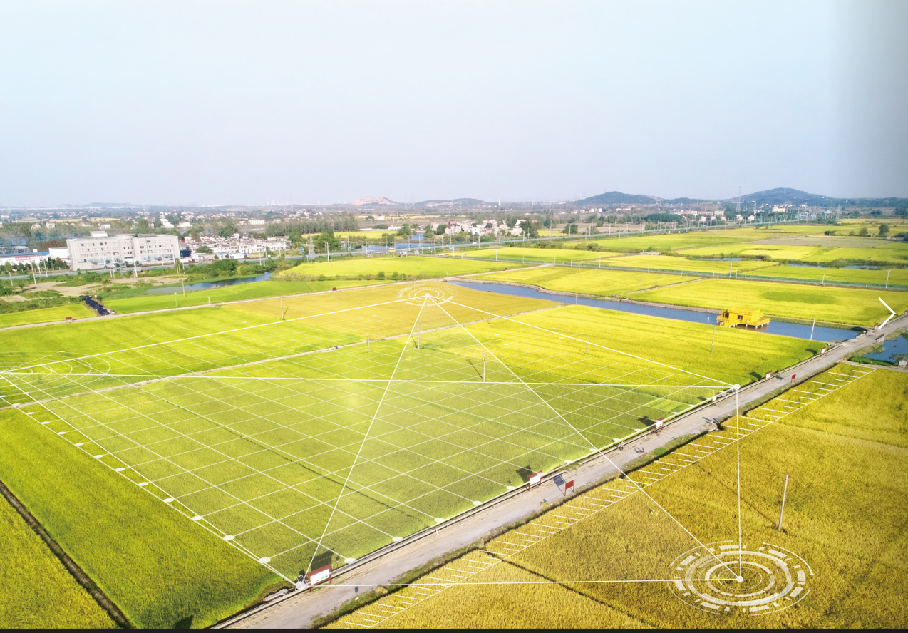 金狮贵宾会·宾至如归-尊贵显赫