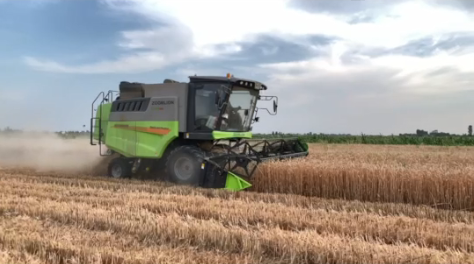 金狮贵宾会·宾至如归-尊贵显赫