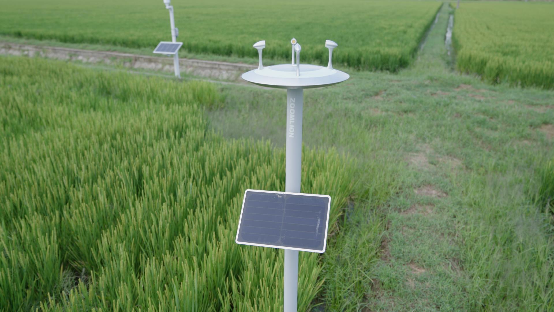 金狮贵宾会·宾至如归-尊贵显赫