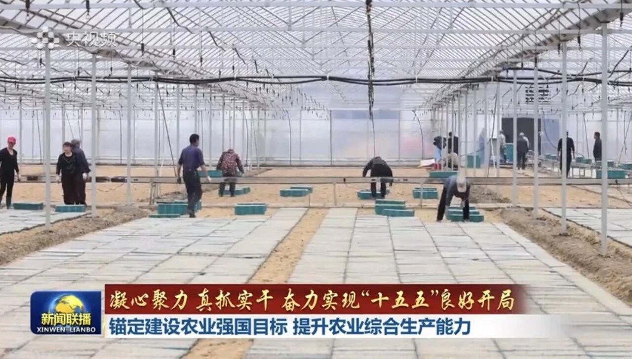 金狮贵宾会·宾至如归-尊贵显赫