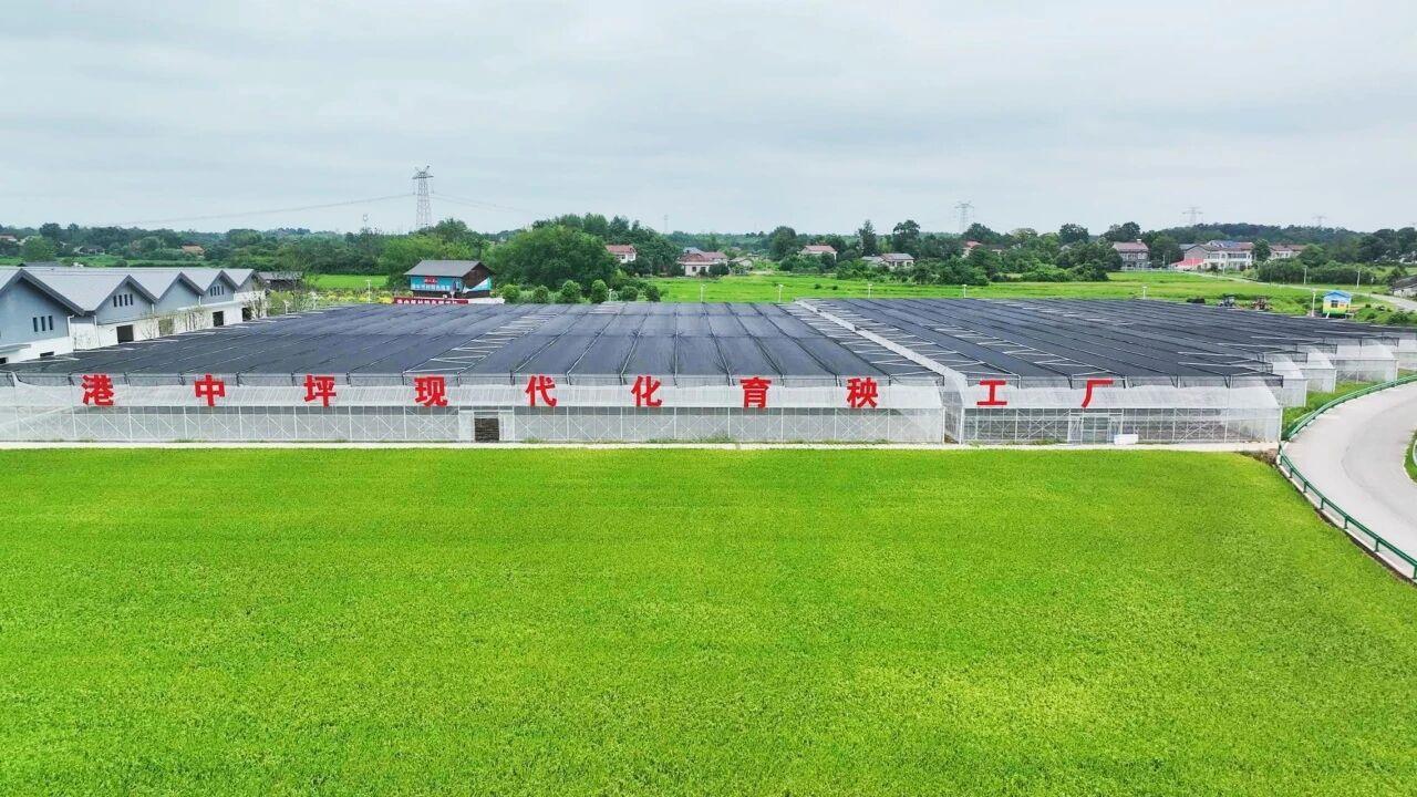 金狮贵宾会·宾至如归-尊贵显赫