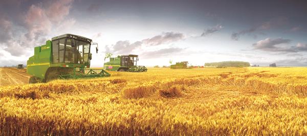 金狮贵宾会·宾至如归-尊贵显赫