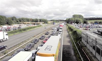 金狮贵宾会·宾至如归-尊贵显赫