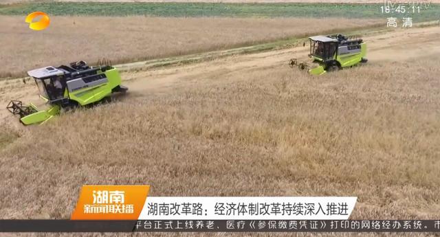 金狮贵宾会·宾至如归-尊贵显赫