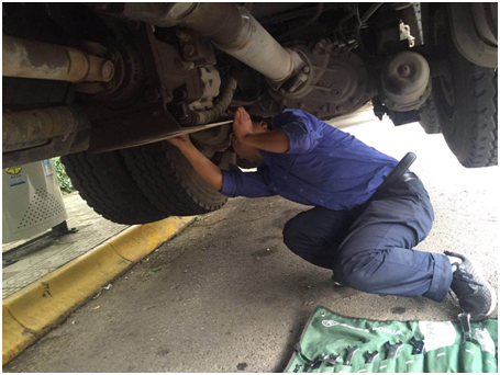 金狮贵宾会·宾至如归-尊贵显赫