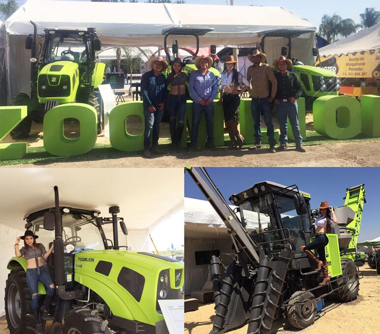 金狮贵宾会·宾至如归-尊贵显赫