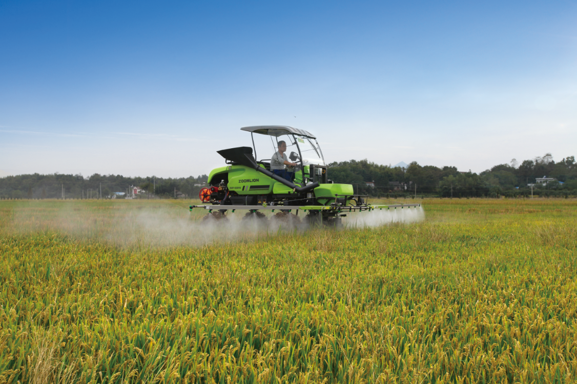 金狮贵宾会·宾至如归-尊贵显赫