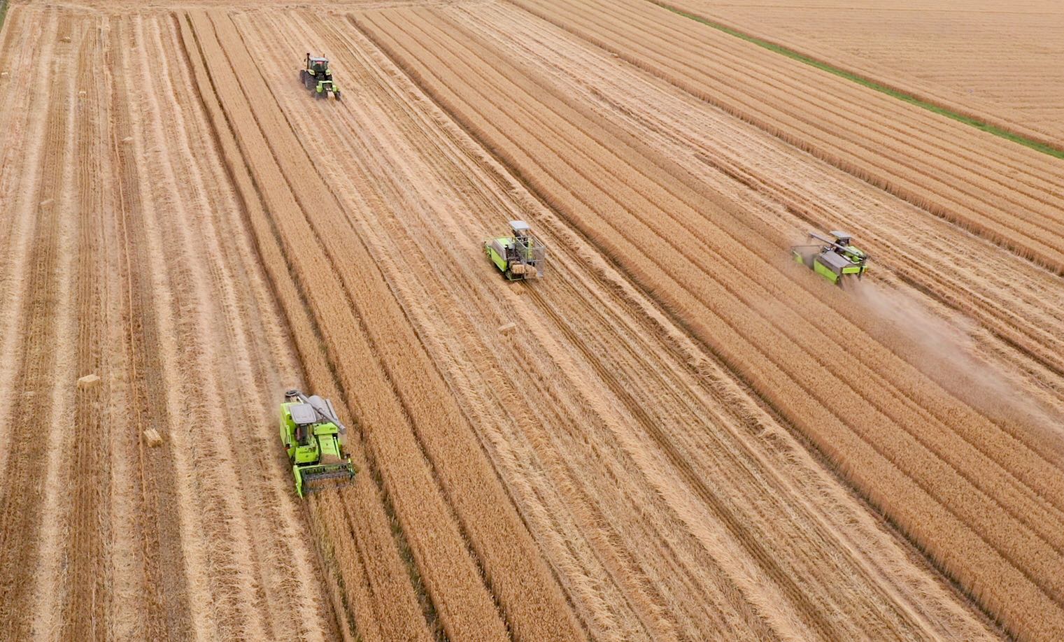 金狮贵宾会·宾至如归-尊贵显赫