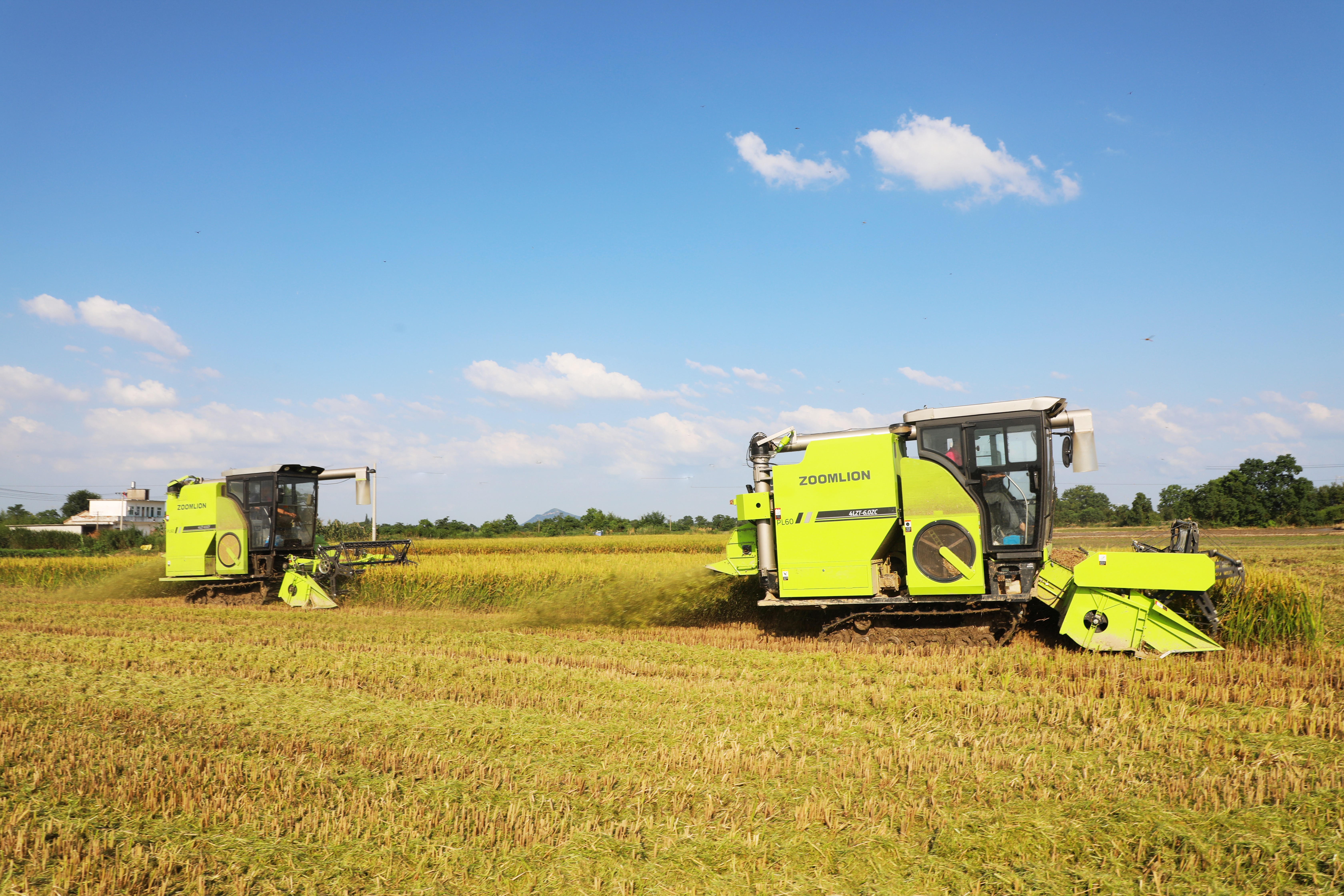 金狮贵宾会·宾至如归-尊贵显赫